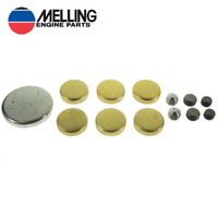 BRASS FREEZE PLUG OIL GALLERY PLUG KIT FORD 429-460