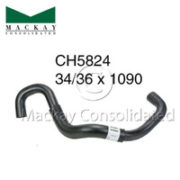 Mackay Bottom Hose CH5824