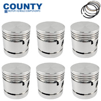 Piston & Ring Set 020" FOR Austin Healey 3000 MG MGC 1959-1969 2.9L C Series