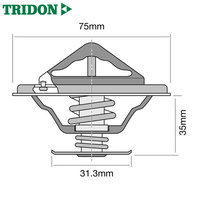 Tridon Thermostat TT8039-180P