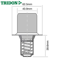 Tridon Thermostat TT8700-170P