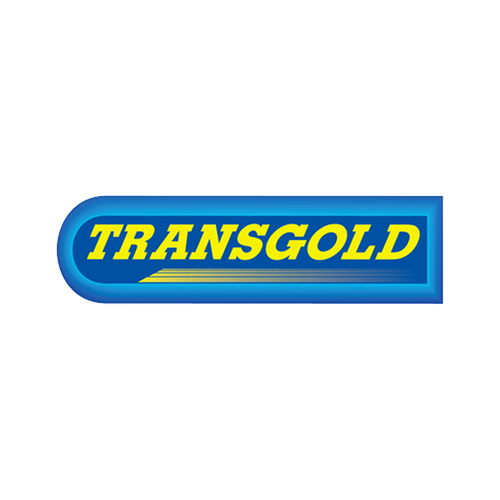 TRANSGOLD ENGINE MOUNT TEM0205