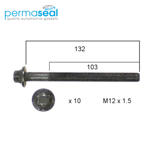 Head Bolt Set FOR NISSAN M9R DOHC 16V HBS253