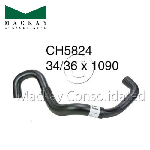 Mackay Bottom Hose CH5824