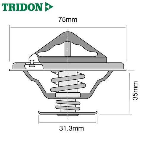 Tridon Thermostat TT8039-180P