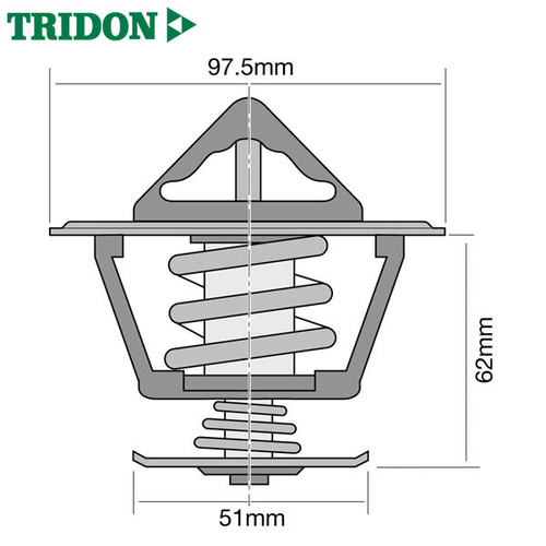 Tridon Thermostat TT8069-170P