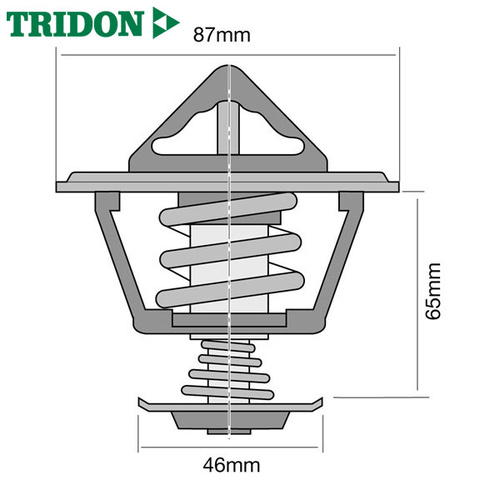 Tridon Thermostat TT8085-170P