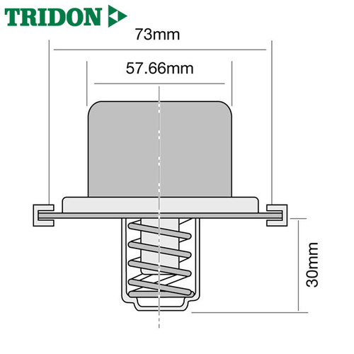 Tridon Thermostat TT8800-160P